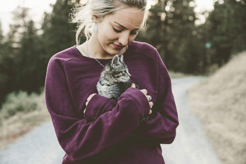Personalisierte Kette deiner Katze